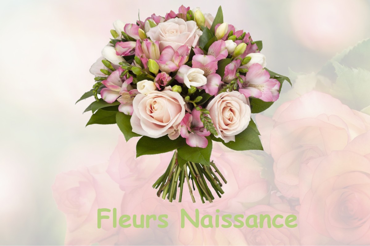 fleurs naissance SAINT-PIERRE-DE-VARENNES